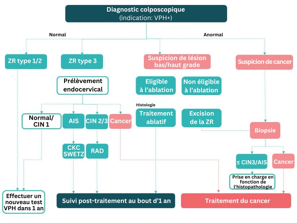 Tests VPH pour le dépistage du cancer du col de l’utérus et prise en ...