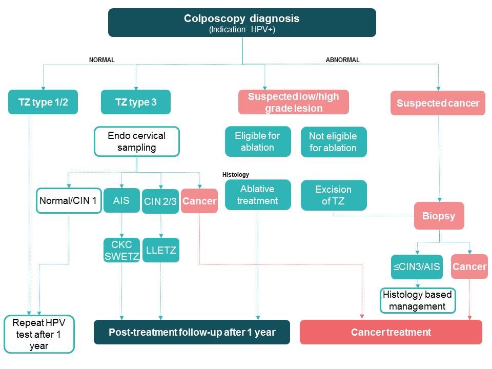 Colposcopy Hpv Positive