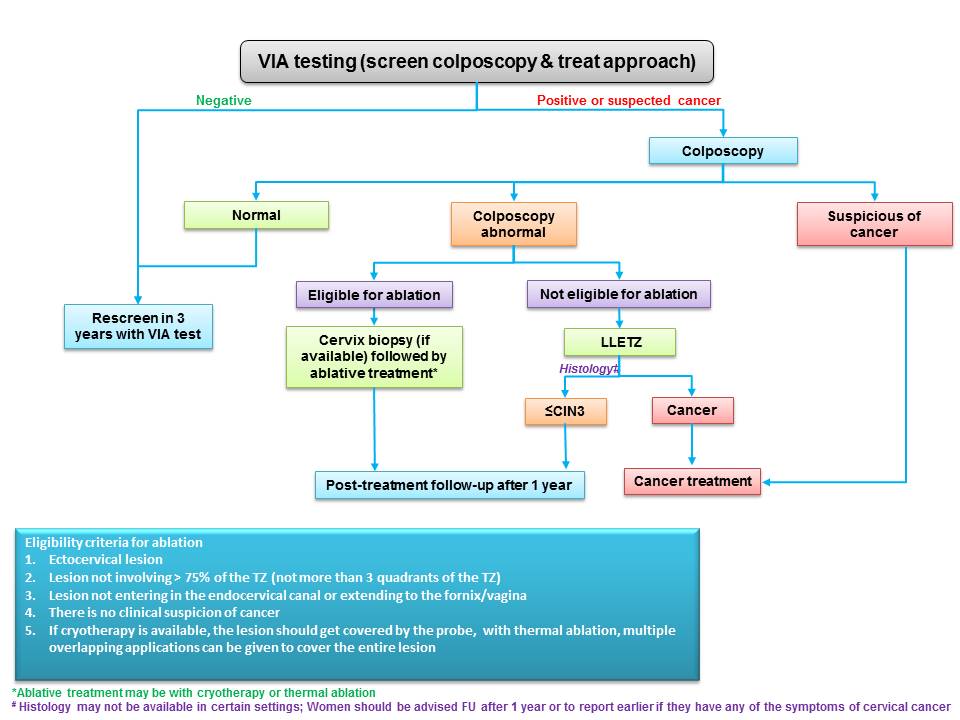 Atlas of visual inspection of the cervix with acetic acid for screening ...